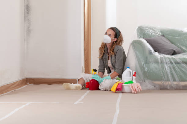 Reliable Basement Mold Removal contractor in Jackson, KY by WQB Mold Removal